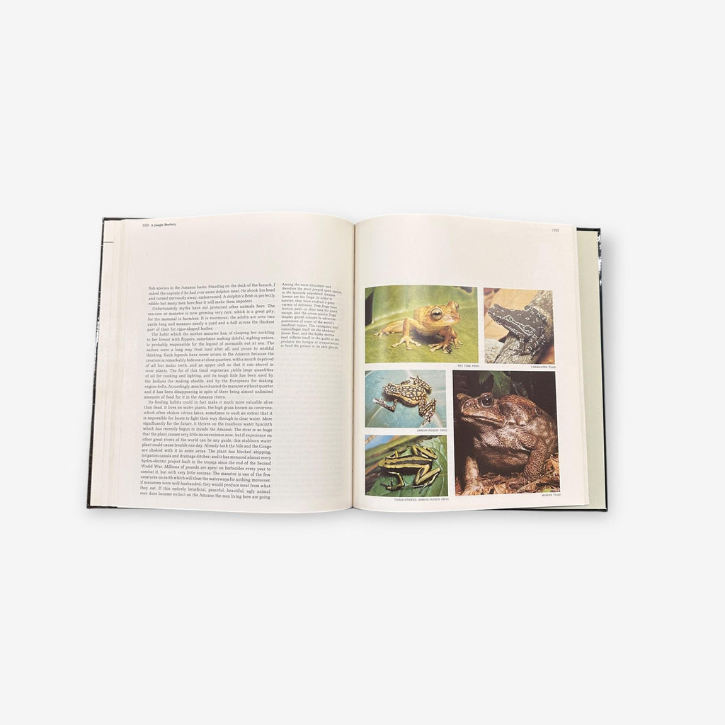 The Amazon - The World&#39;s Wild Places - Hardback Book (Tom Sterling) 1973