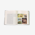 The Amazon - The World&#39;s Wild Places - Hardback Book (Tom Sterling) 1973