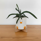 Novelty Duck Plant Pot (by Haus of Honk)