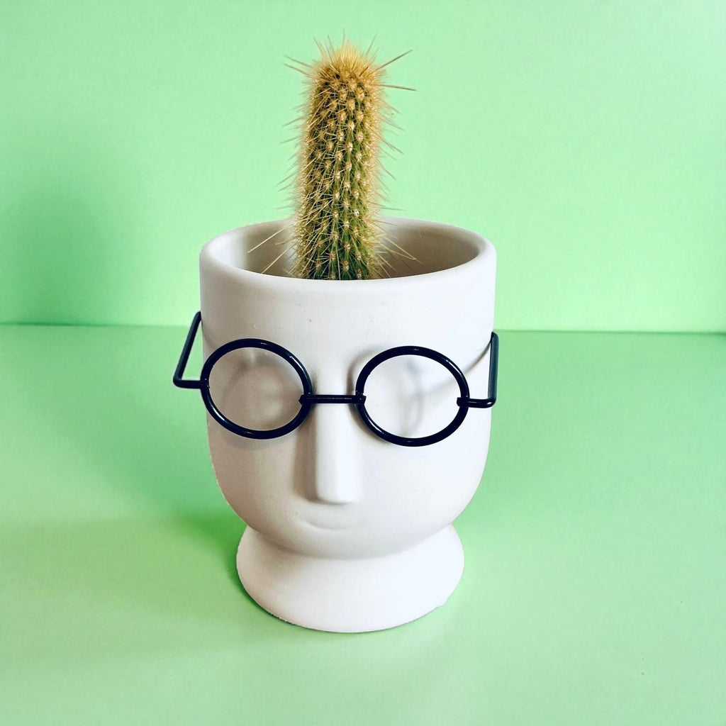 Small Novelty Wizard Glasses Planter/Vase Unique Homeware Gift 10cm