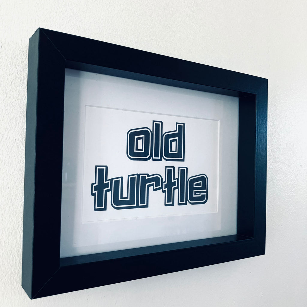 Old Turtle Framed Print