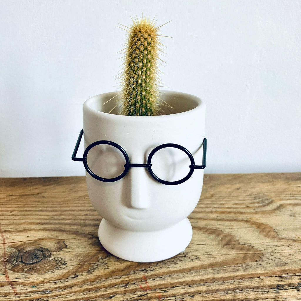 Small Novelty Wizard Glasses Planter/Vase Unique Homeware Gift 10cm