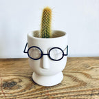 Small Novelty Wizard Glasses Planter/Vase Unique Homeware Gift 10cm