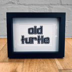 Old Turtle Framed Print