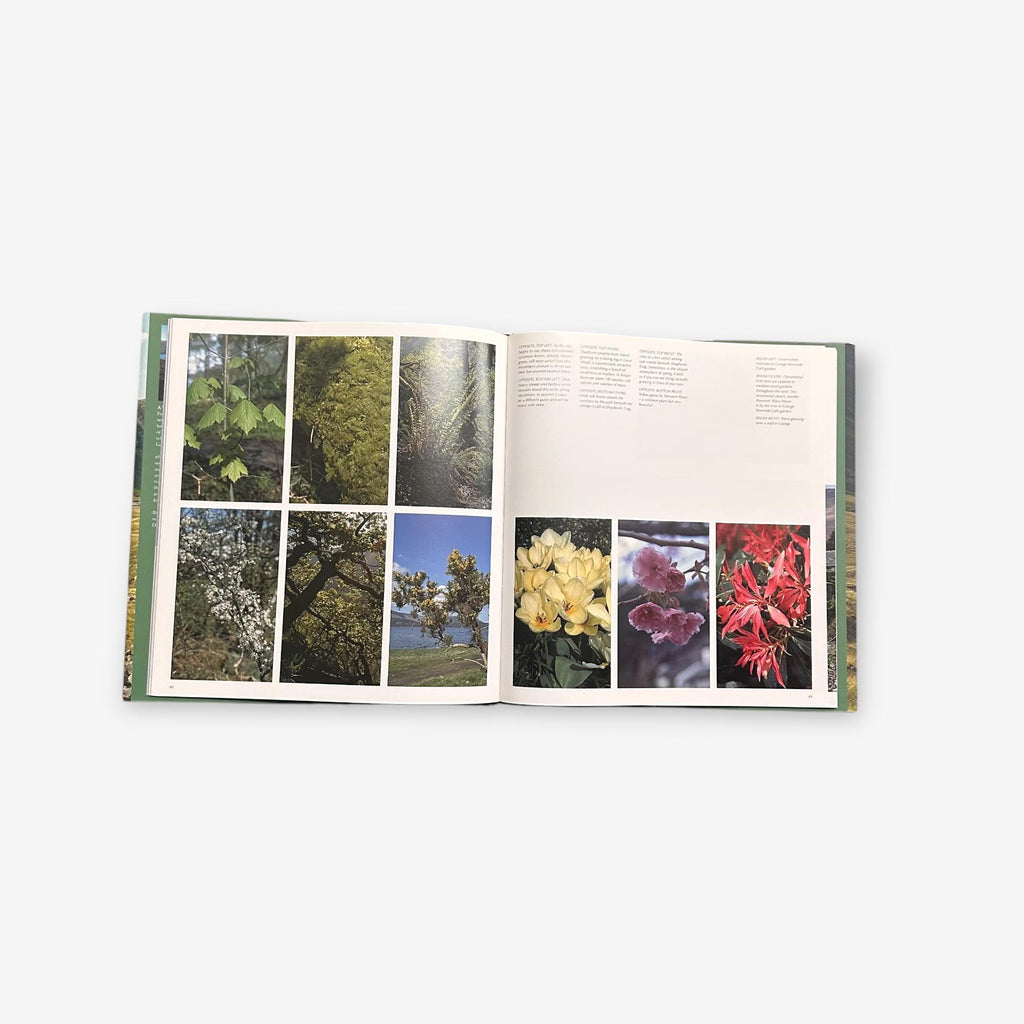 A Year In The life Of Borrowdale Paperback Book (Bill Birkett) 2005