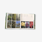 A Year In The life Of Borrowdale Paperback Book (Bill Birkett) 2005