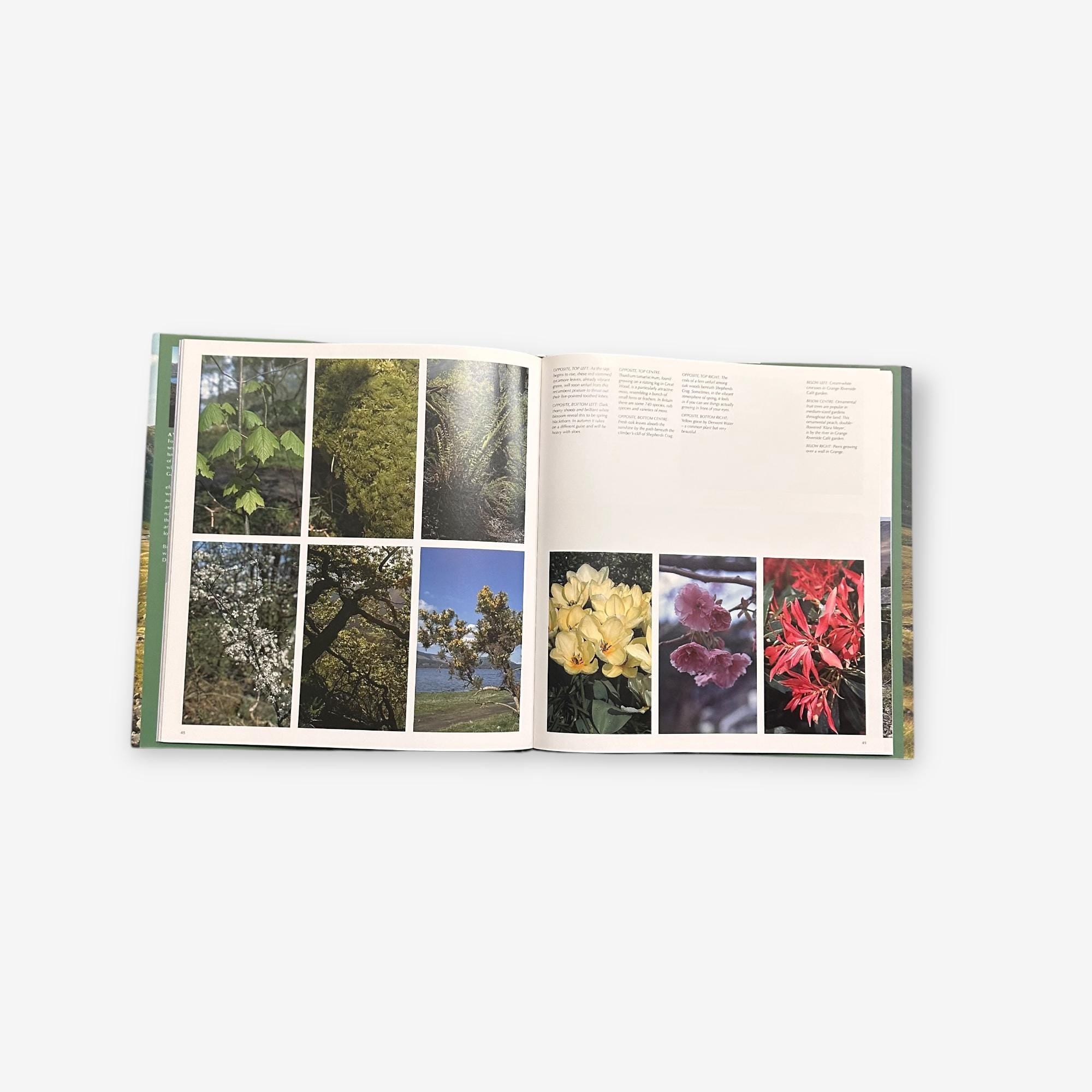 A Year In The life Of Borrowdale Paperback Book (Bill Birkett) 2005